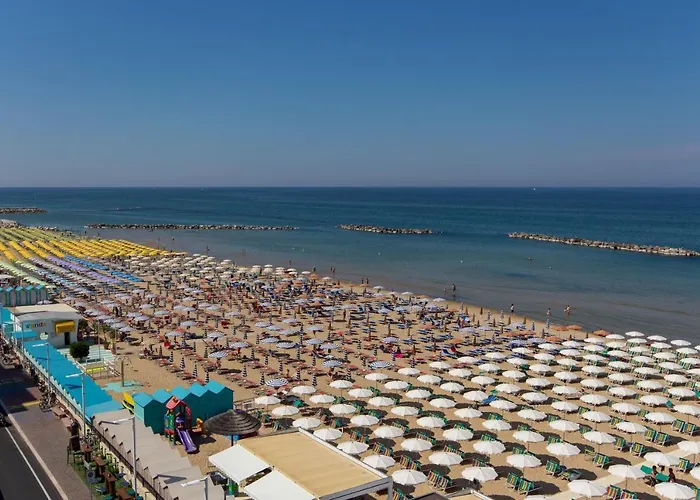 President's فندق